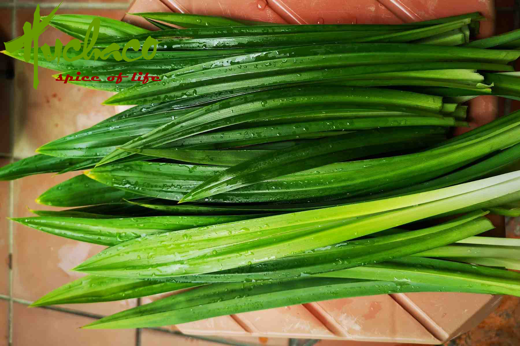 lá dứa thơm